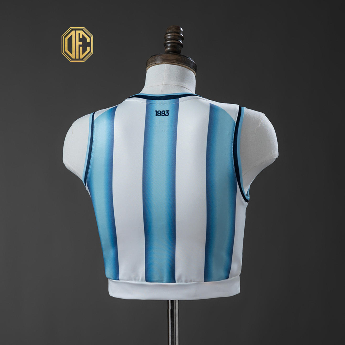 Argentina 2026 Home Women's Vest