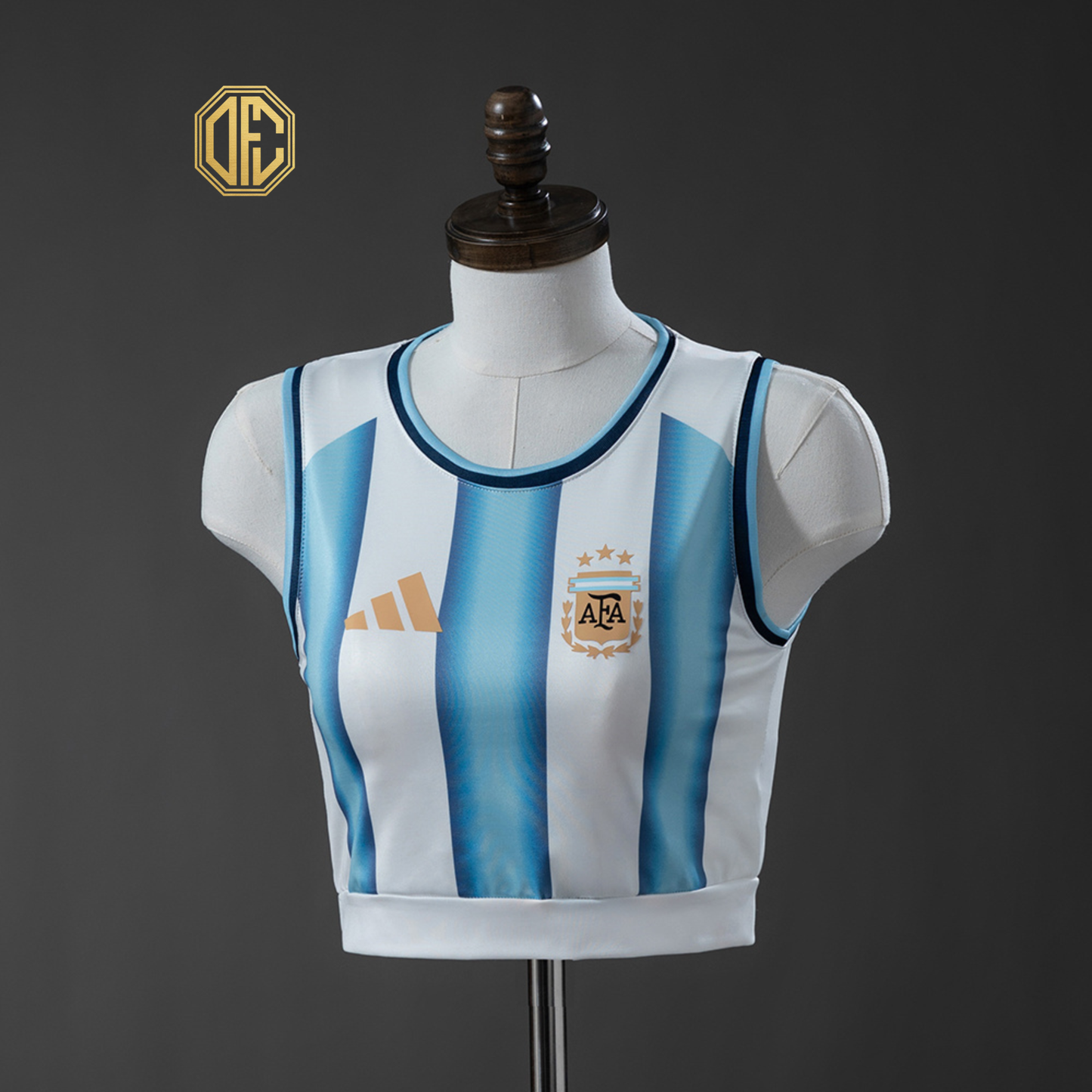 Argentina 2026 Home Women's Vest